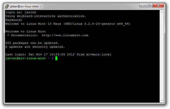 linux windows terminal server